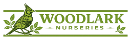 Woodlark Nurseries