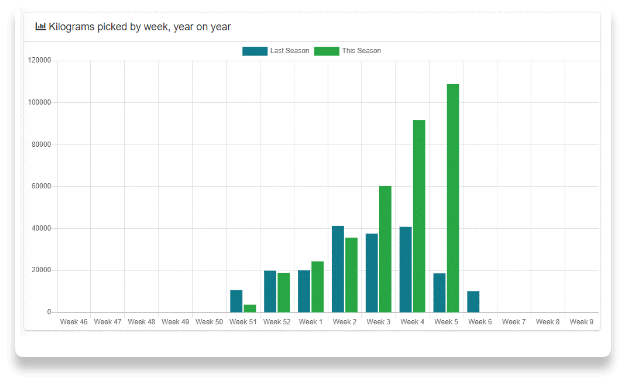Dataphyll dashboard