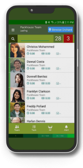 Dataphyll Grow on a phone